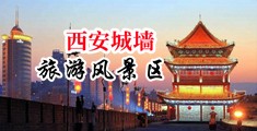 啊哈~好舒服鸡巴好棒啊~视频中国陕西-西安城墙旅游风景区